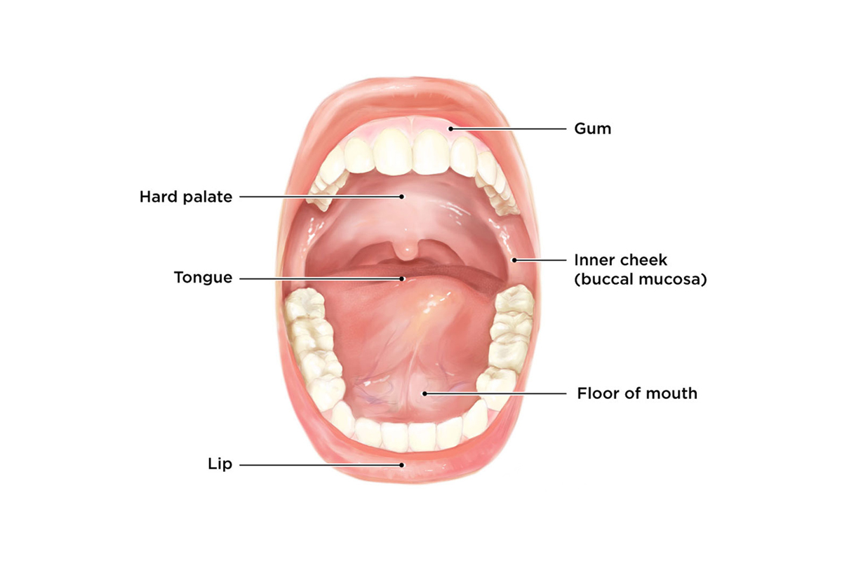 Mouth Cancer